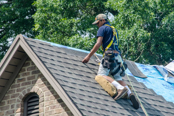 Professional Roofing Contractor in Newark, CA